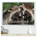 Marderhunde (hochwertiger Premium Wandkalender 2025 DIN A2 quer), Kunstdruck in Hochglanz