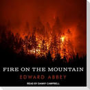 Fire on the Mountain Lib/E