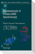 Fundamentals of Protein NMR Spectroscopy