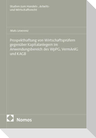 Prospekthaftung von Wirtschaftsprüfern gegenüber Kapitalanlegern im Anwendungsbereich des WpPG, VermAnlG und KAGB