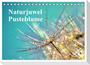 Naturjuwel Pusteblume (Tischkalender 2024 DIN A5 quer), CALVENDO Monatskalender