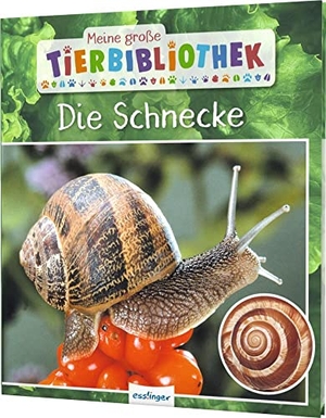 Starosta, Paul. Meine große Tierbibliothek: Die Schnecke - Sachbuch für Vorschule & Grundschule. Esslinger Verlag, 2020.