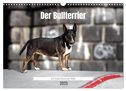 Der Bullterrier der beste Hund der Welt (Wandkalender 2025 DIN A3 quer), CALVENDO Monatskalender