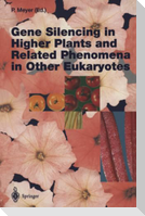 Gene Silencing in Higher Plants and Related Phenomena in Other Eukaryotes