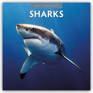 Red, Robin. Sharks - Haie 2027 - 16-Monatskalender - Original Red Robin Publishing Ltd-Kalender [Mehrsprachig] [Kalender]. Browntrout Verlags GmbH, 2026.