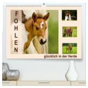 Fohlen, glücklich in der Herde (hochwertiger Premium Wandkalender 2024 DIN A2 quer), Kunstdruck in Hochglanz