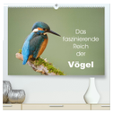 Das faszinierende Reich der Vögel (hochwertiger Premium Wandkalender 2025 DIN A2 quer), Kunstdruck in Hochglanz