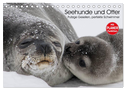Seehunde und Otter. Putzige Gesellen, perfekte Schwimmer (Tischkalender 2024 DIN A5 quer), CALVENDO Monatskalender