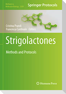 Strigolactones