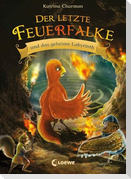 Der letzte Feuerfalke und das geheime Labyrinth (Band 10)