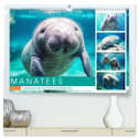 Manatees. Faszinierende Rundschwanzseekühe (hochwertiger Premium Wandkalender 2024 DIN A2 quer), Kunstdruck in Hochglanz