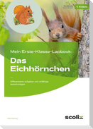 Mein Erste-Klasse-Lapbook: Das Eichhörnchen
