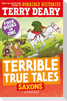 Terrible True Tales: Saxons