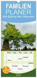 Familienplaner 2024 - Alte Bäume Alte Veteranen mit 5 Spalten (Wandkalender, 21 x 45 cm) CALVENDO