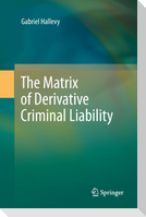 The Matrix of Derivative Criminal Liability