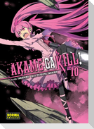 Akame ga kill! 10