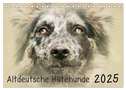 Altdeutsche Hütehunde 2025 (Tischkalender 2025 DIN A5 quer), CALVENDO Monatskalender