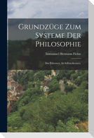 Grundzüge zum Systeme der Philosophie