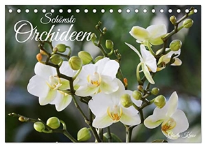 Kruse, Gisela. Schönste Orchideen (Tischkalender 2024 DIN A5 quer), CALVENDO Monatskalender - Fantastische Orchideenblüten, gelungen in Szene gesetzt. Calvendo, 2023.