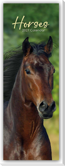 Horses - Pferde - Slimline-Kalender 2027