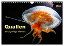Quallen - einzigartige Wesen (Wandkalender 2024 DIN A4 quer), CALVENDO Monatskalender