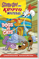 Dogs vs Cats