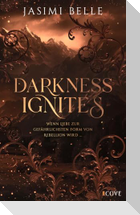 Darkness Ignites. Wenn Liebe zur gefährlichsten Form von Rebellion wird (Sunshaft Hollow 1)