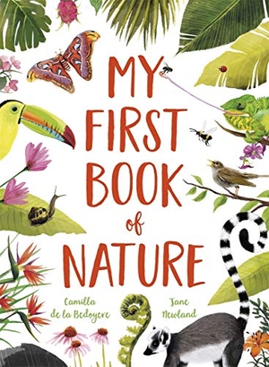 Bedoyere, Camilla De La. My First Book of Nature - With 4 sections and wipe-clean spotting cards. Templar Books, 2020.