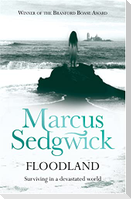 Floodland