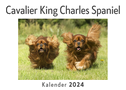 Cavalier King Charles Spaniel (Wandkalender 2024, Kalender DIN A4 quer, Monatskalender im Querformat mit Kalendarium, Das perfekte Geschenk)