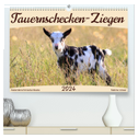 Tauernschecken-Ziegen (hochwertiger Premium Wandkalender 2024 DIN A2 quer), Kunstdruck in Hochglanz