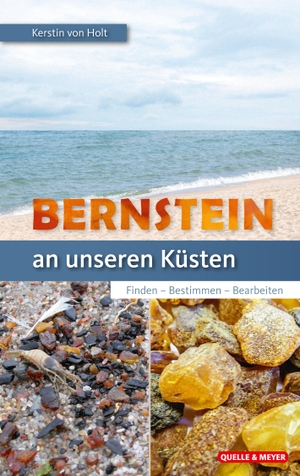 Holt, Kerstin von. Bernstein an unseren Küsten - Finden - Bestimmen - Bearbeiten. Quelle + Meyer, 2021.