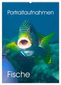 Portraitaufnahmen - Fische (Wandkalender 2024 DIN A2 hoch), CALVENDO Monatskalender