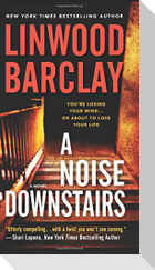 A Noise Downstairs