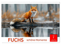 Fuchs - schöne Momente (Wandkalender 2025 DIN A3 quer), CALVENDO Monatskalender