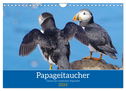 Papageitaucher - Clowns der nordischen Vogelwelt (Wandkalender 2024 DIN A4 quer), CALVENDO Monatskalender
