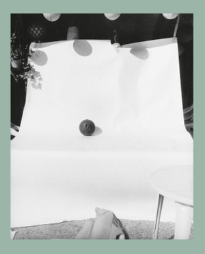 Gossage, John. An Abridged Dictionary of Sculpture. Steidl GmbH & Co.OHG, 2026.
