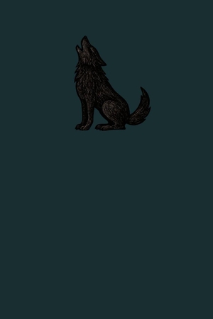 0wl. Lunation - Wolf. Lulu Press, 2025.
