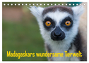 Madagaskars wundersame Tierwelt (Tischkalender 2024 DIN A5 quer), CALVENDO Monatskalender