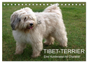 Tibet-Terrier - Eine Hunderasse mit Charakter (Tischkalender 2024 DIN A5 quer), CALVENDO Monatskalender