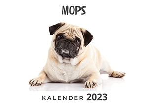 Hübsch, Bibi. Mops - Kalender 2023. 27Amigos, 2022.
