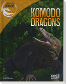 Komodo Dragons