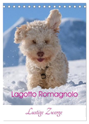 Lagotto Romagnolo - Lustige Zwerge (Tischkalender 2024 DIN A5 hoch), CALVENDO Monatskalender