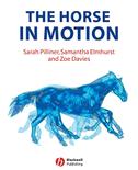 Horse Motion