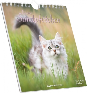 Neumann Verlage GmbH & Co KG (Hrsg.). Kleine Samtpfötchen 2027 - Postkartenkalender 16x17 cm mit Katzenmotiven und 12 heraustrennbaren Postkarten, zum Aufstellen und Aufhängen. Neumann Verlage GmbH & Co, 2026.