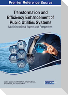 Transformation and Efficiency Enhancement of Public Utilities Systems