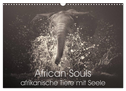 African Souls - afrikanische Tiere mit Seele (Wandkalender 2024 DIN A3 quer), CALVENDO Monatskalender