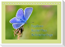 Papillons-Butterflies-Schmetterlinge (Tischkalender 2025 DIN A5 quer), CALVENDO Monatskalender