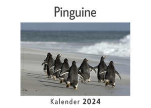 Müller, Anna. Pinguine (Wandkalender 2024, Kalender DIN A4 quer, Monatskalender im Querformat mit Kalendarium, Das perfekte Geschenk). 27amigos, 2023.