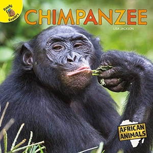 Jackson, Lisa. Chimpanzee. Carson Dellosa Publishing, 2026.